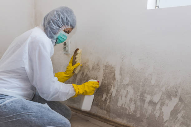 Crawl Space Mold Removal in Brawley, CA