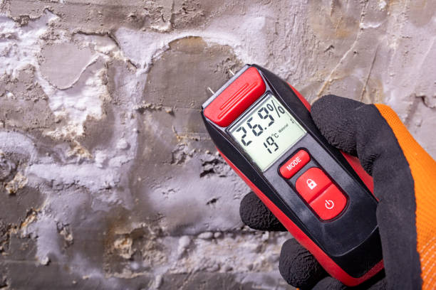 Best Commercial Mold Removal  in Brawley, CA