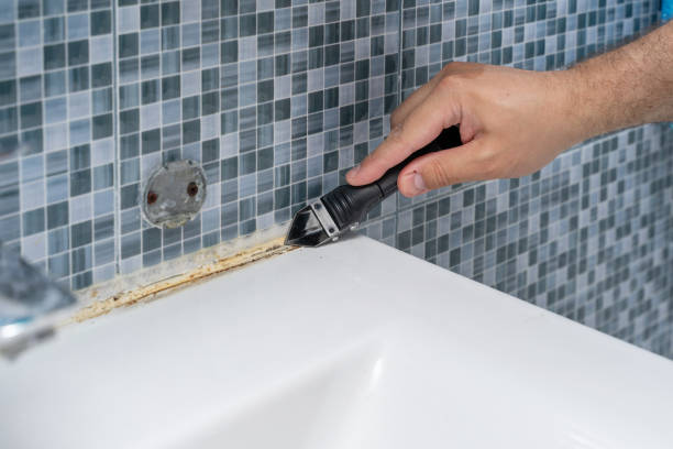 Mold Removal and Inspection in Brawley, CA