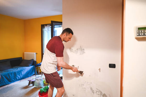 Best Mold Removal and Inspection  in Brawley, CA